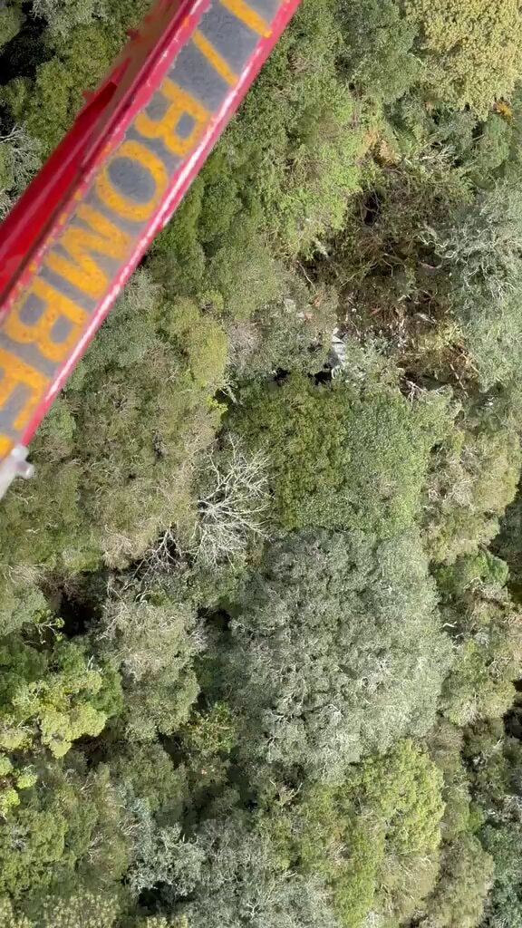 Rick helicopter crash update