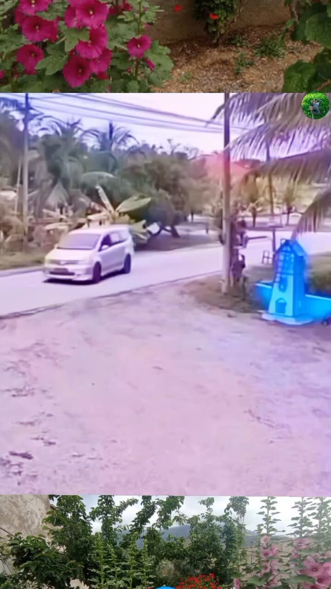 incredible live camera moments