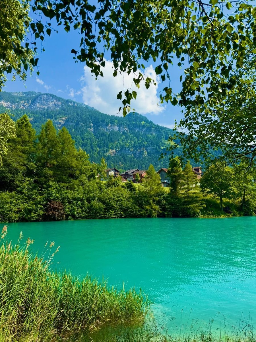 Switzerland rural landscape (photo 4 of 4)