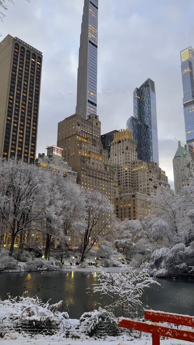 Central Park New York winter