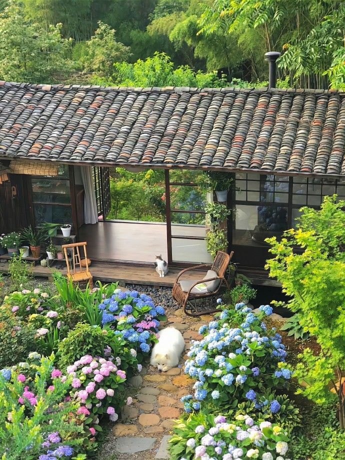 quaint house with pink roses garden (photo 3 of 4)