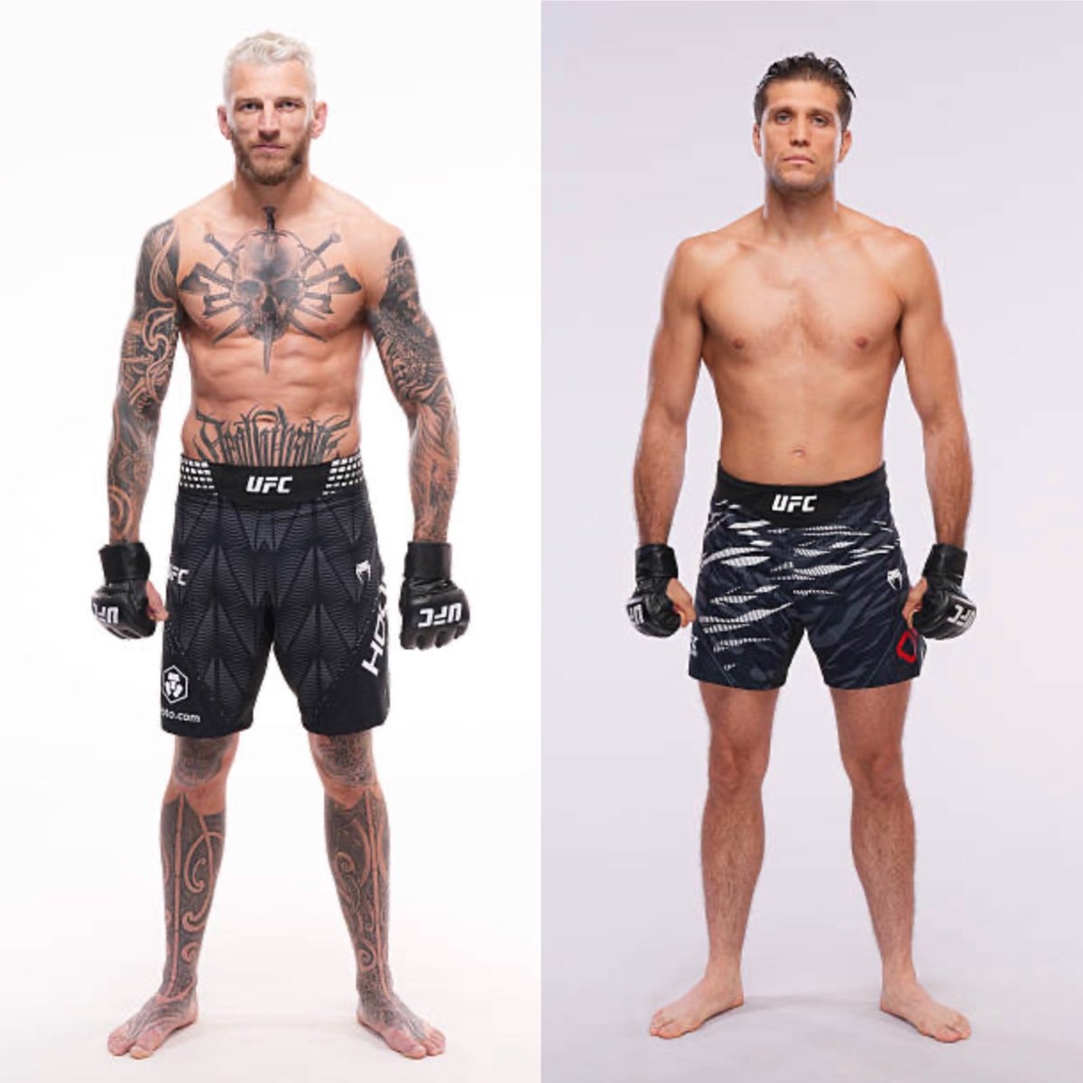 Dan Hooker vs Brian Ortega UFC Qatar