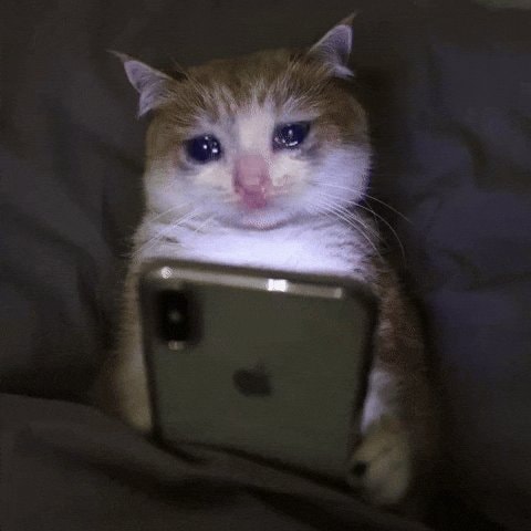 crying cat holding iPhone reaction