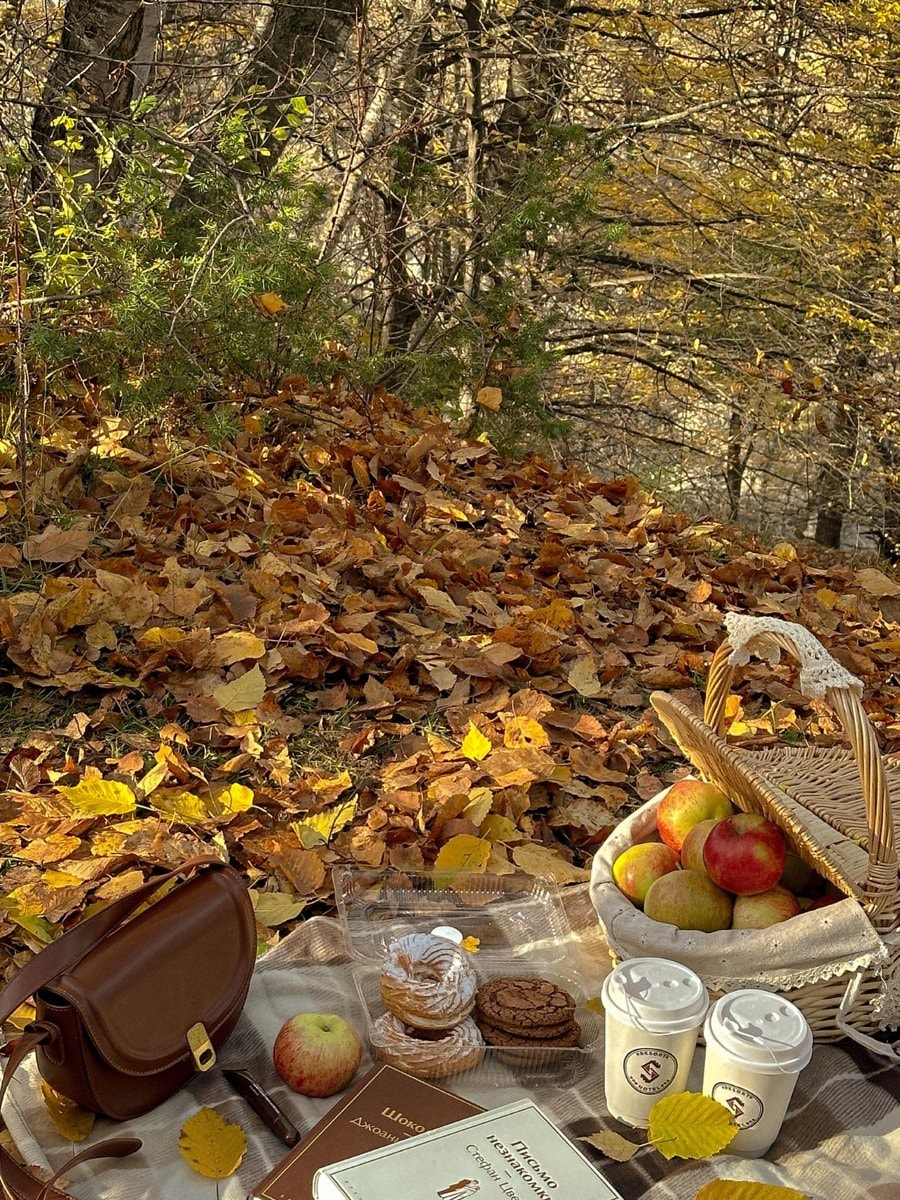 Autumn picnic vibes (photo 4 of 4)