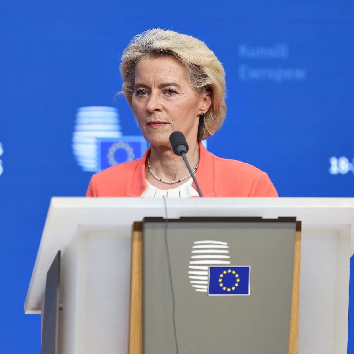 EU social media restrictions von der Leyen (photo 2 of 2)