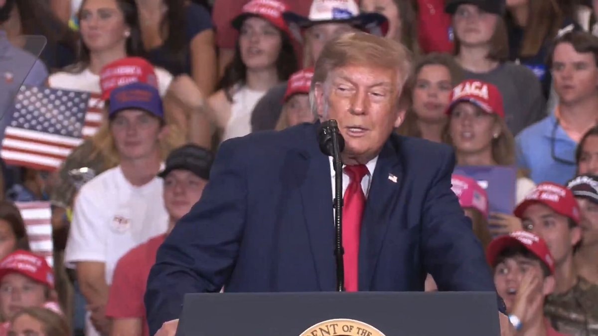 Trump rally crowd and paid protestor moment