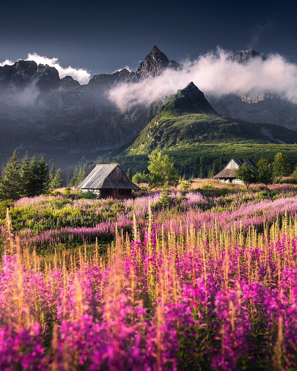 Tatry Mountain Poland (photo 3 of 4)