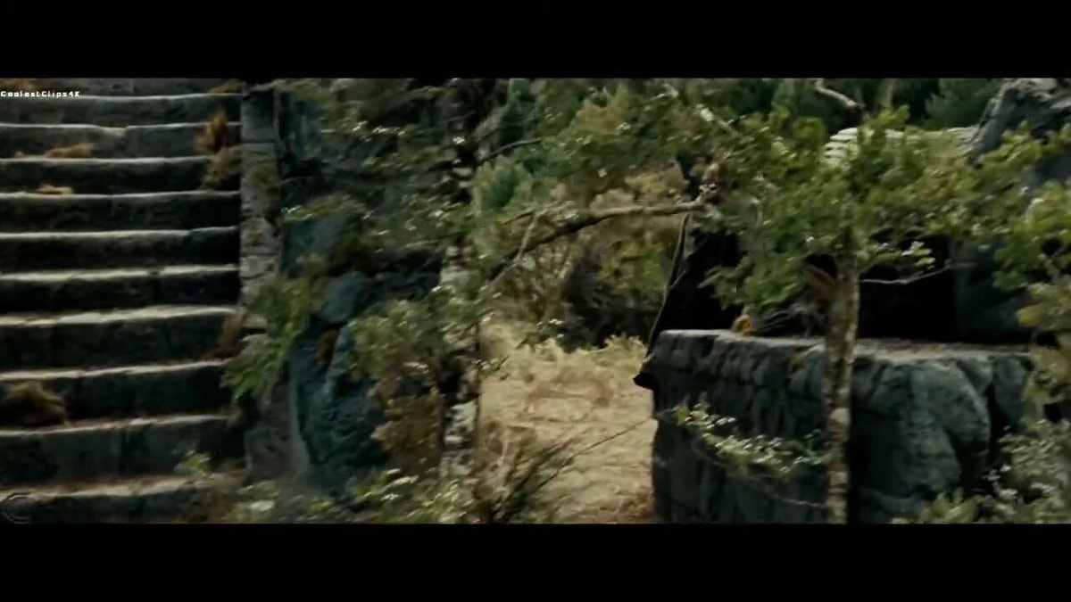 Aragorn Lord of the Rings calm