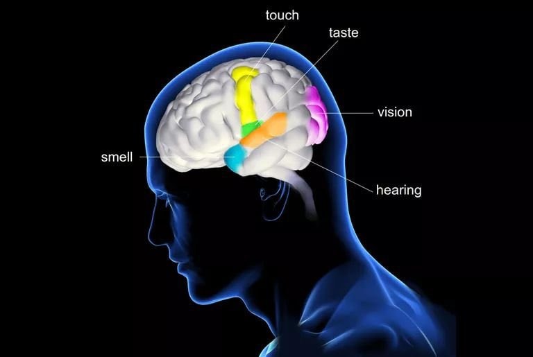 Human senses beyond five (photo 2 of 2)