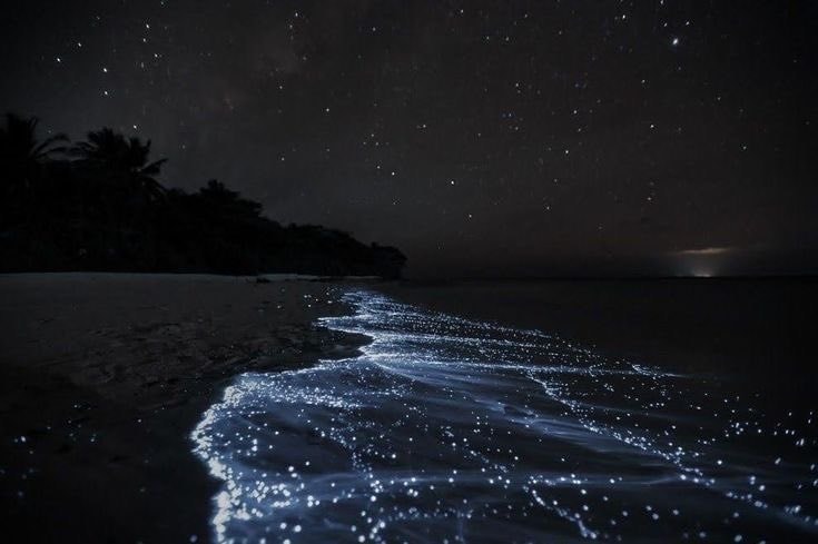 sea of stars