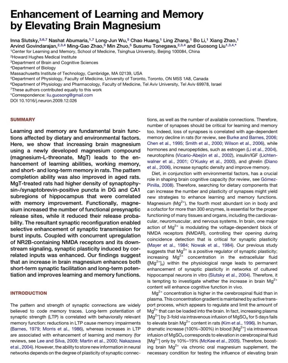 magnesium for neuroplasticity