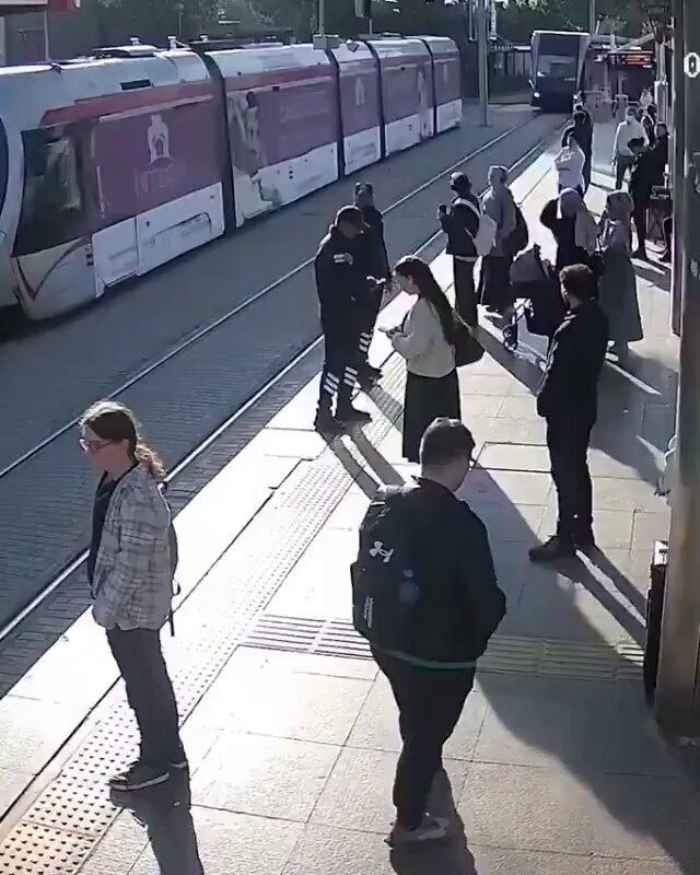 natural selection example