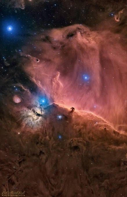 Horsehead and Flame Nebula