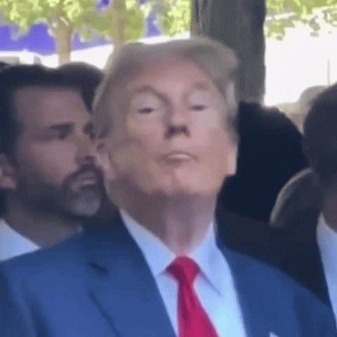 Donald Trump reaction GIF