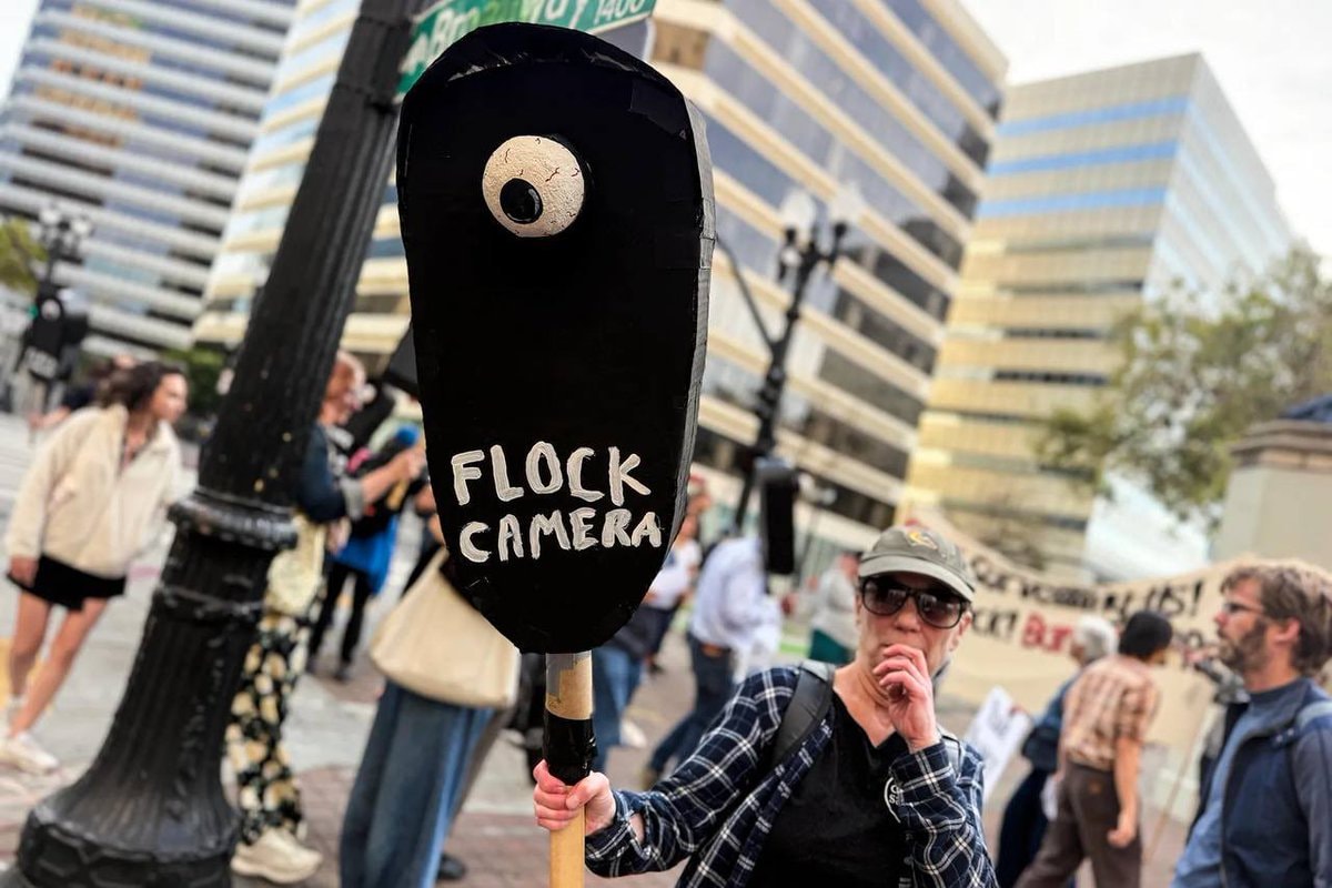 No Kings Flock camera protest China funding (photo 1 of 2)