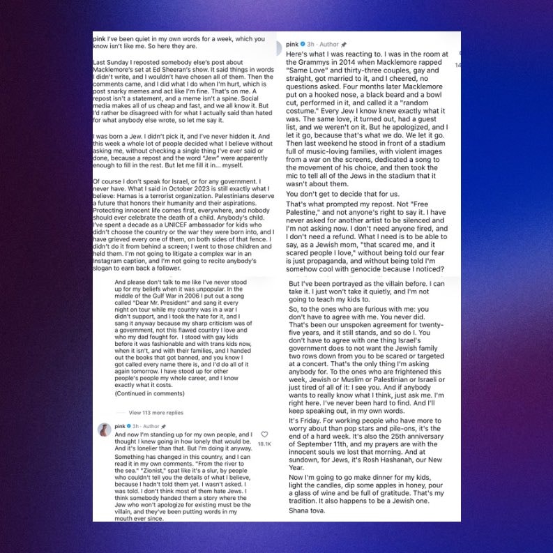 P!nk clarifies Macklemore controversy (photo 2 of 2)