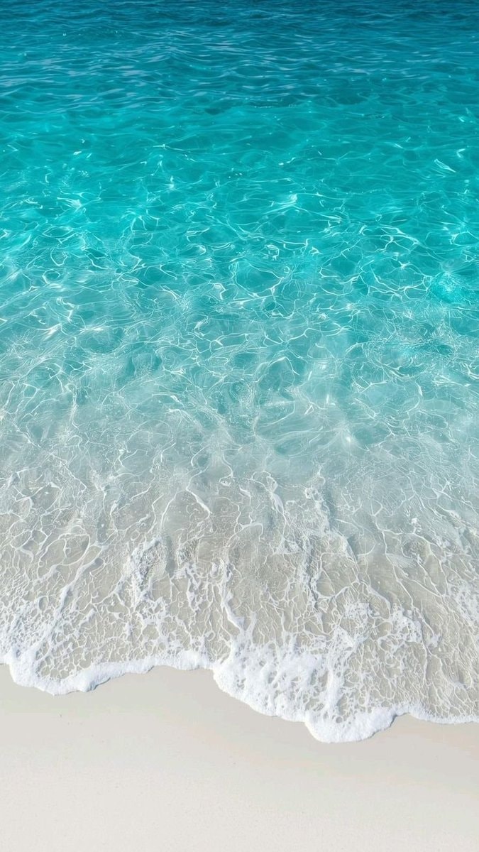 Maldives beach scene (photo 2 of 2)