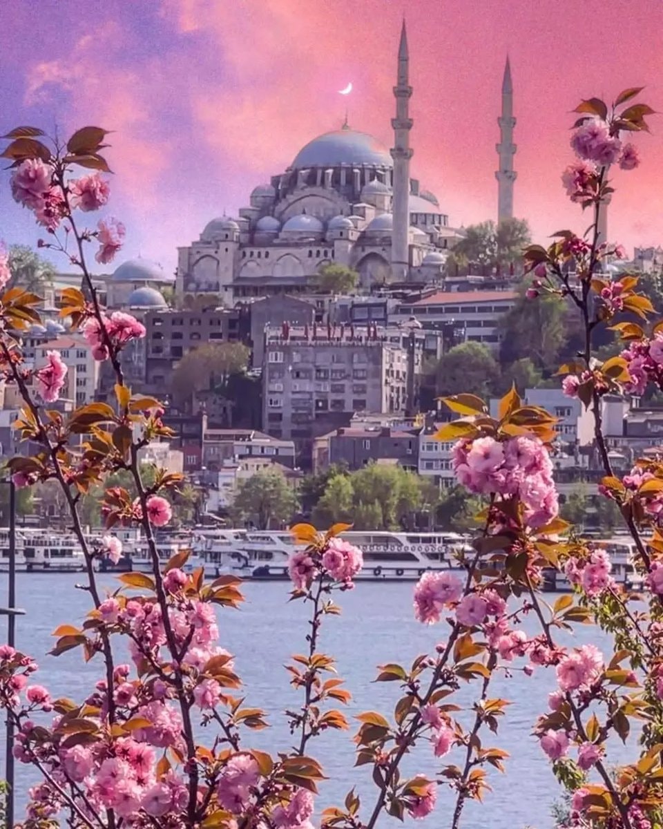 Istanbul Turkiye street view (photo 2 of 4)