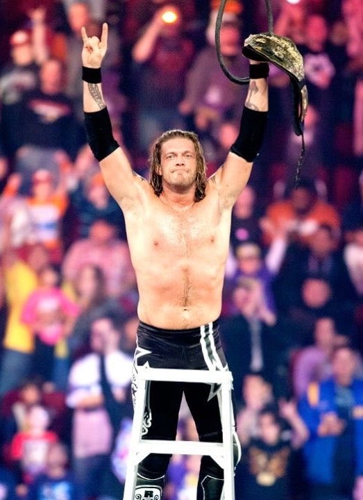 Adam Copeland Ladder Match AEW All Out (photo 2 of 2)