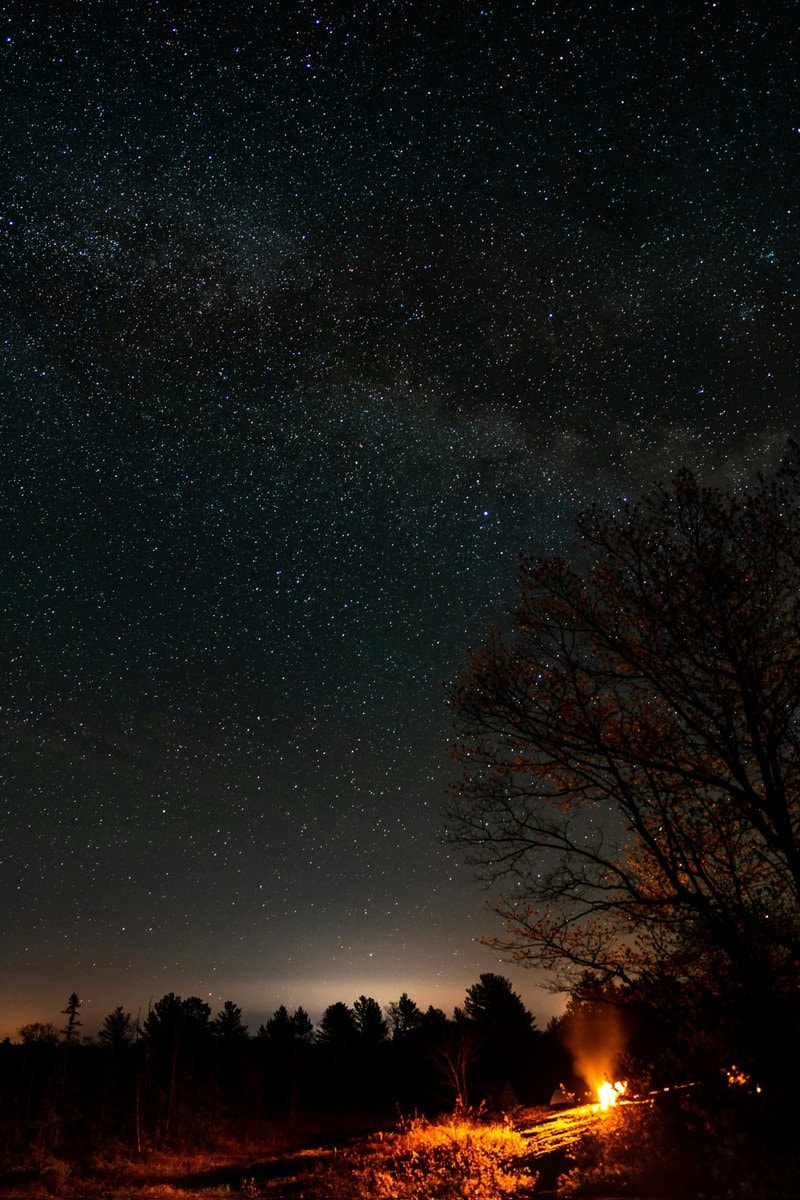 Night Sky Milky Way Forest Campfire