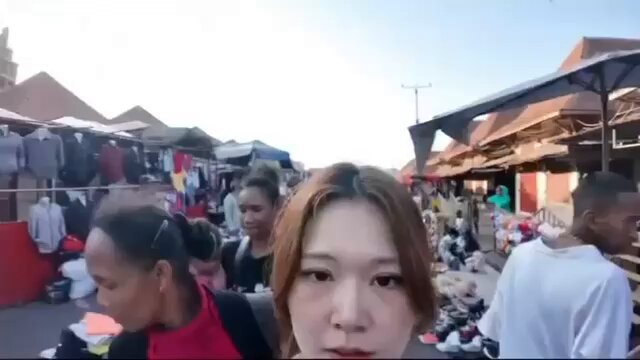 Japanese Blogger Madagascar Market