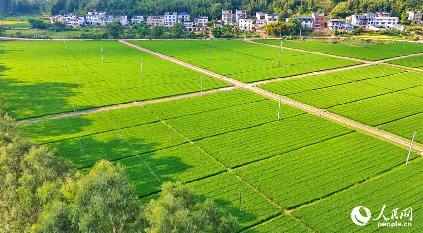 Huichang Jiangxi aerial autumn views (photo 2 of 4) Huichang Jiangxi aerial autumn views (photo 2 of 4)