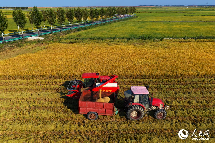 Harvest season in Yongshan Village, Yongxiu (photo 4 of 4)