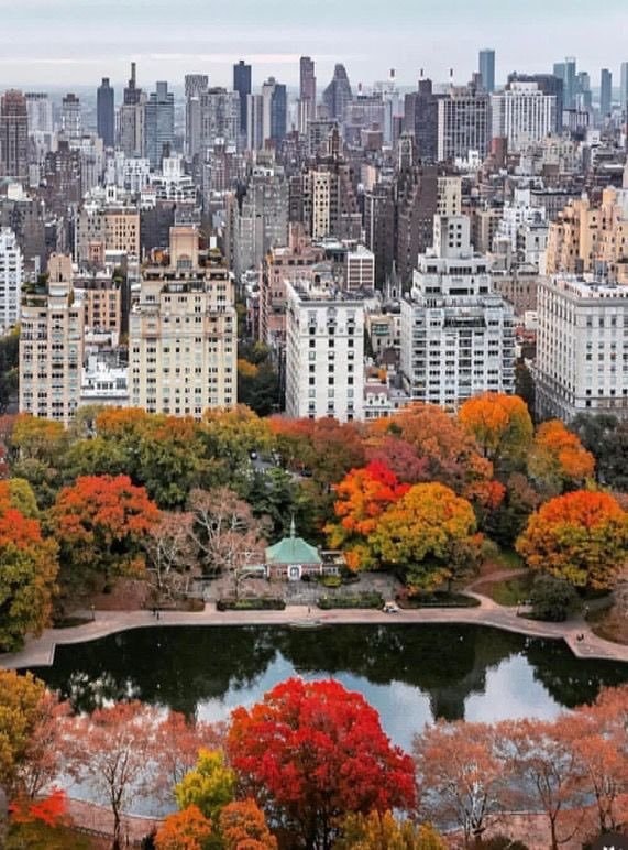 Central Park New York (photo 4 of 4)