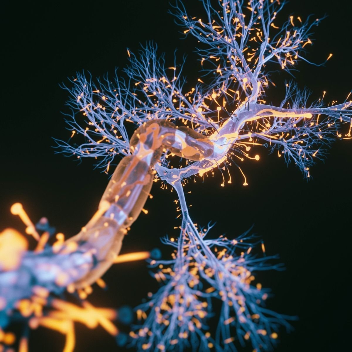 Forgiveness and the brain (photo 2 of 2)