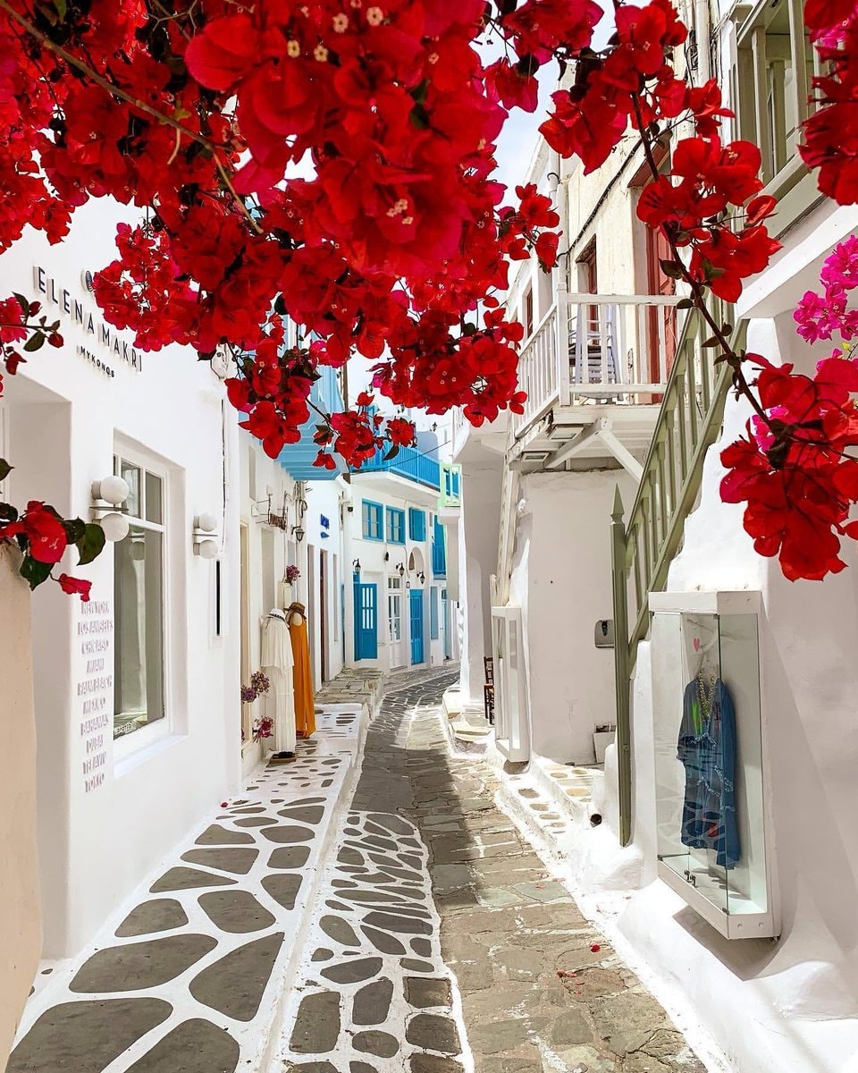 Mykonos Greece sandal shop bougainvillea (photo 4 of 4)