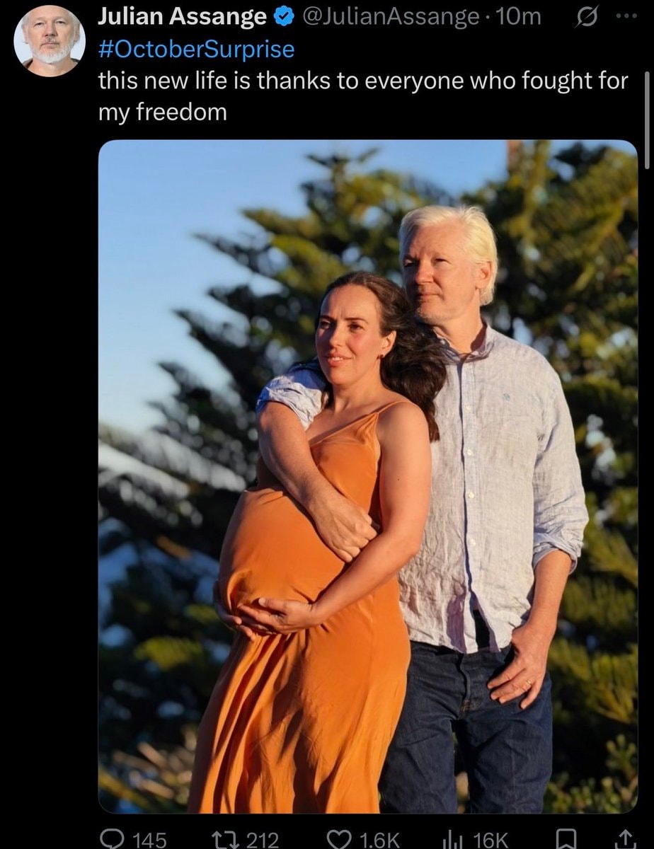 Julian Assange pregnancy announcement