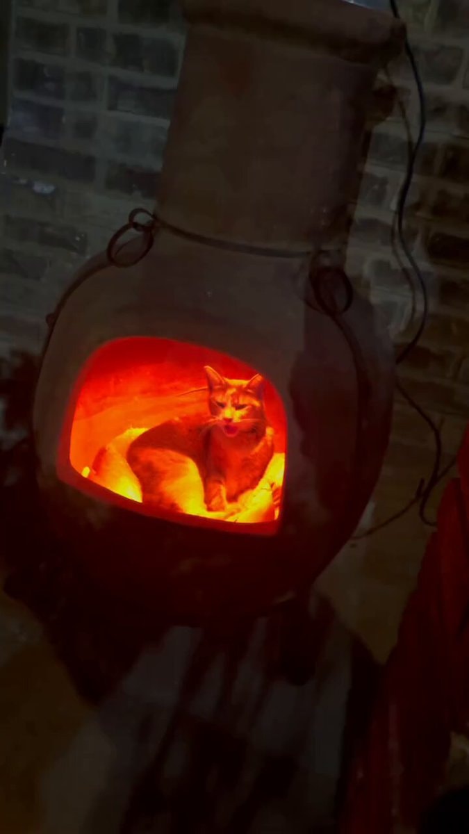Chiminea shelter for stray cat