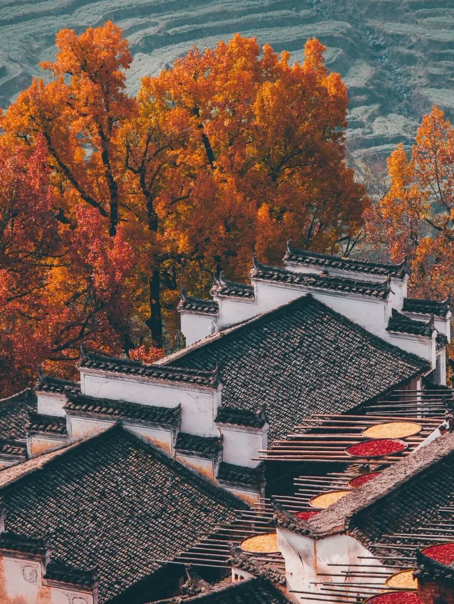 Jiangxi autumn harvest villages (photo 3 of 4)