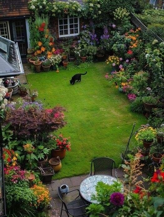 Calico cat in a garden pot (photo 2 of 4)