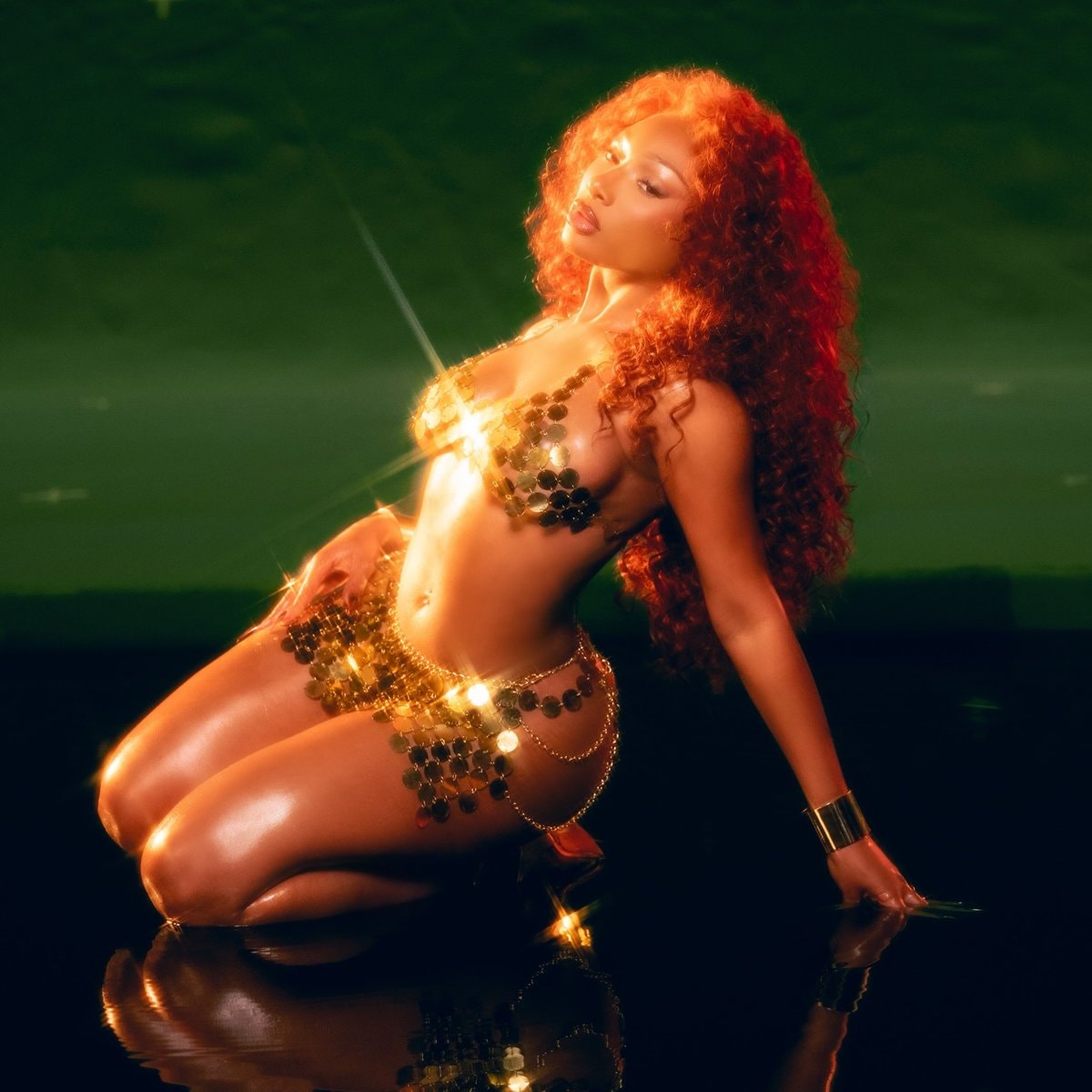 Megan Thee Stallion first RIAA Diamond WAP Megan Thee Stallion first RIAA Diamond WAP