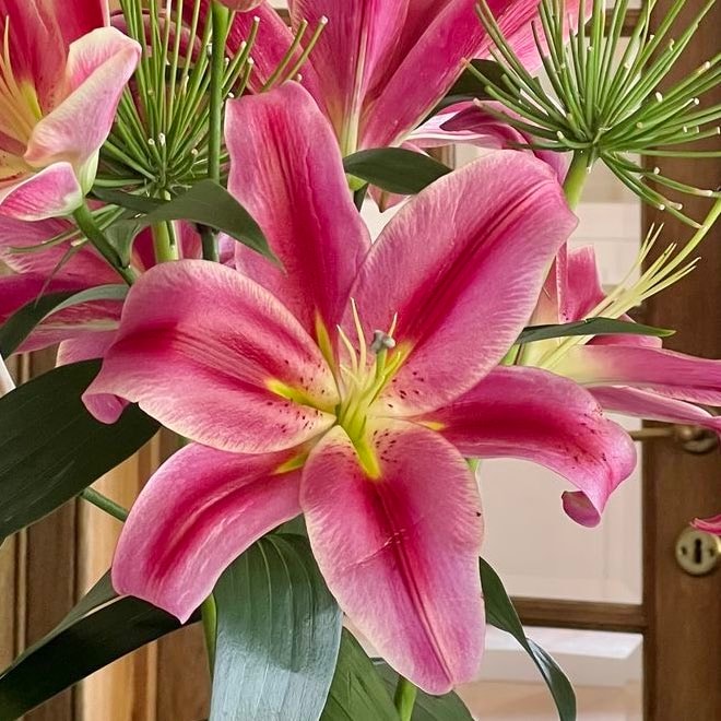 Lily painting 🌸 (photo 2 of 2)