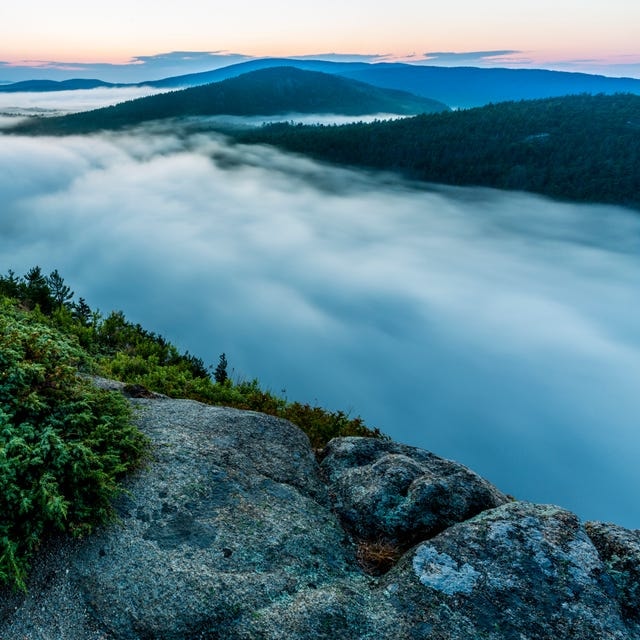 Scientists discover fog is sentient (photo 2 of 2)