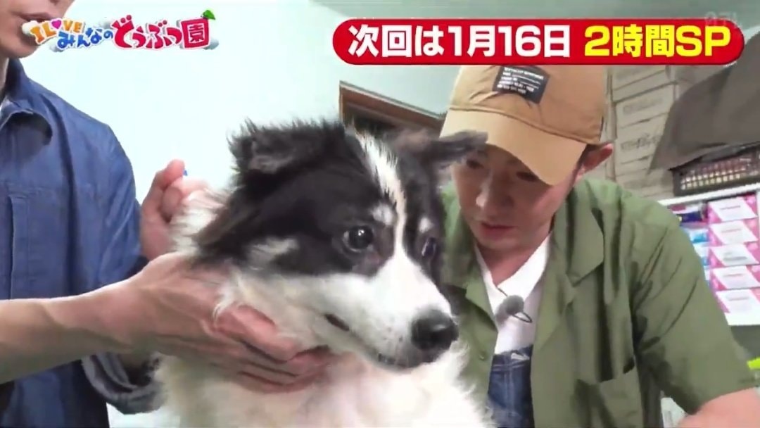 LOVE みんなのどうぶつ園 dog special