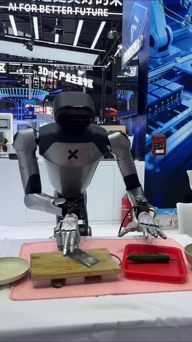 humanoid robot helpful skills