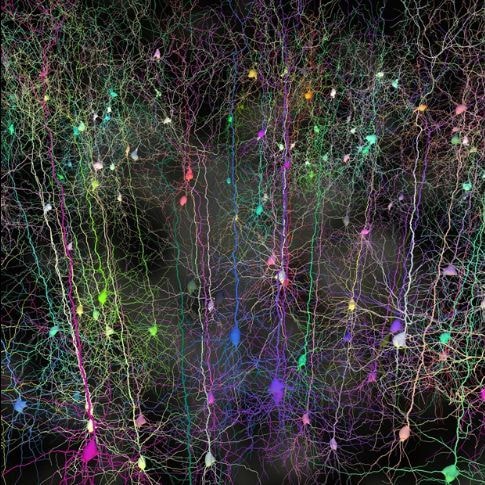 Cannabis protects brain cells