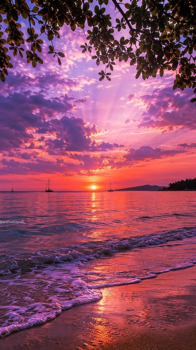 sunset beach sailboats