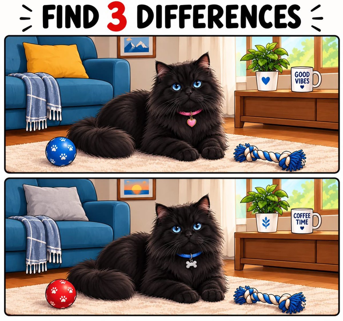 Black cat find 3 differences puzzle
