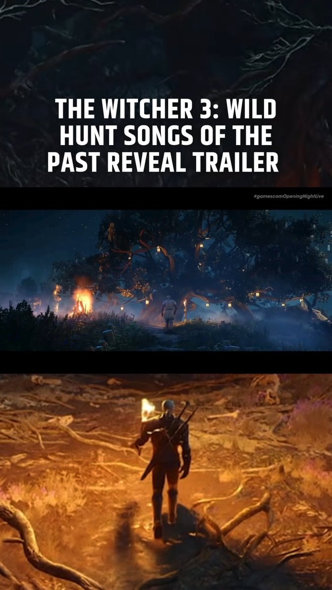 The Witcher 3 Wild Hunt Songs of the Past