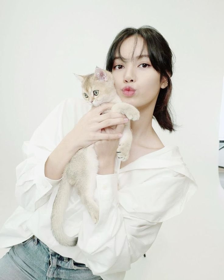 National Kitten Day (photo 2 of 2)