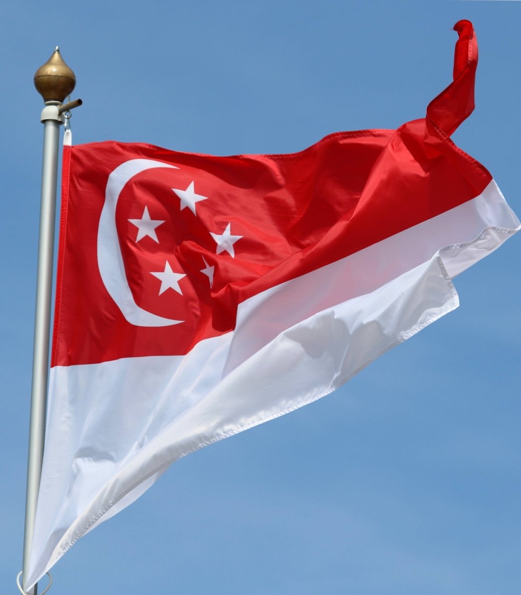 Singapore government dating app (photo 2 of 2)
