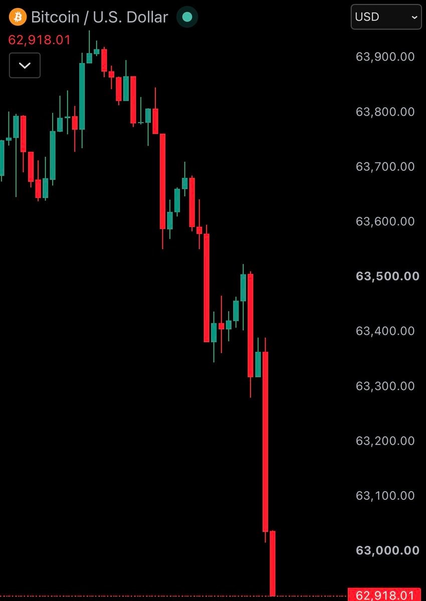 Bitcoin price chart drop