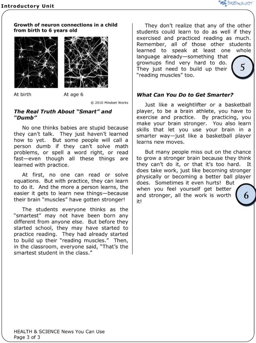 neuroplasticity brain education (photo 3 of 3)