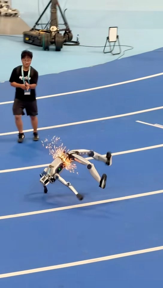 Humanoid robot injury China