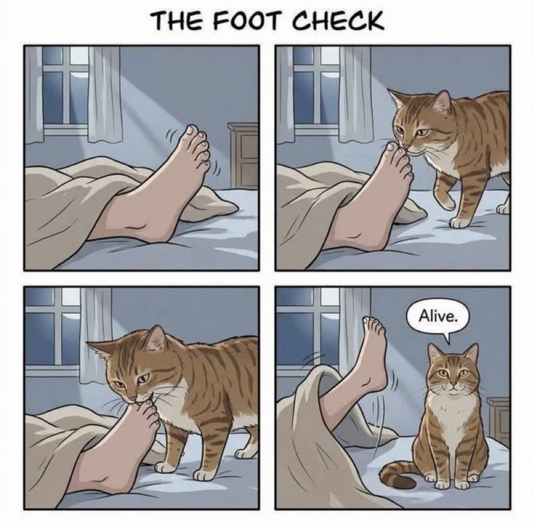 The Foot Check comic