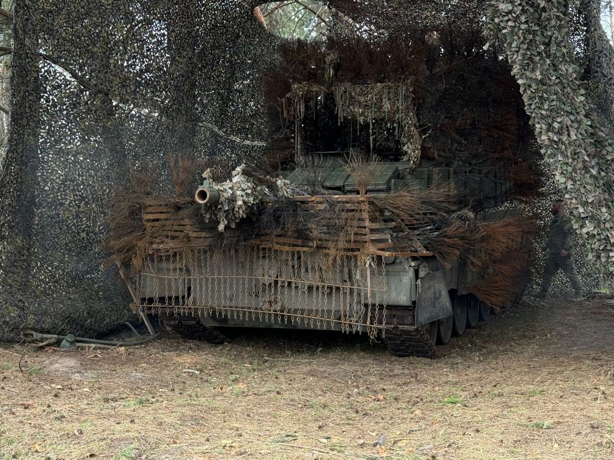 Ukraine Leopard tank camouflage (photo 1 of 4)